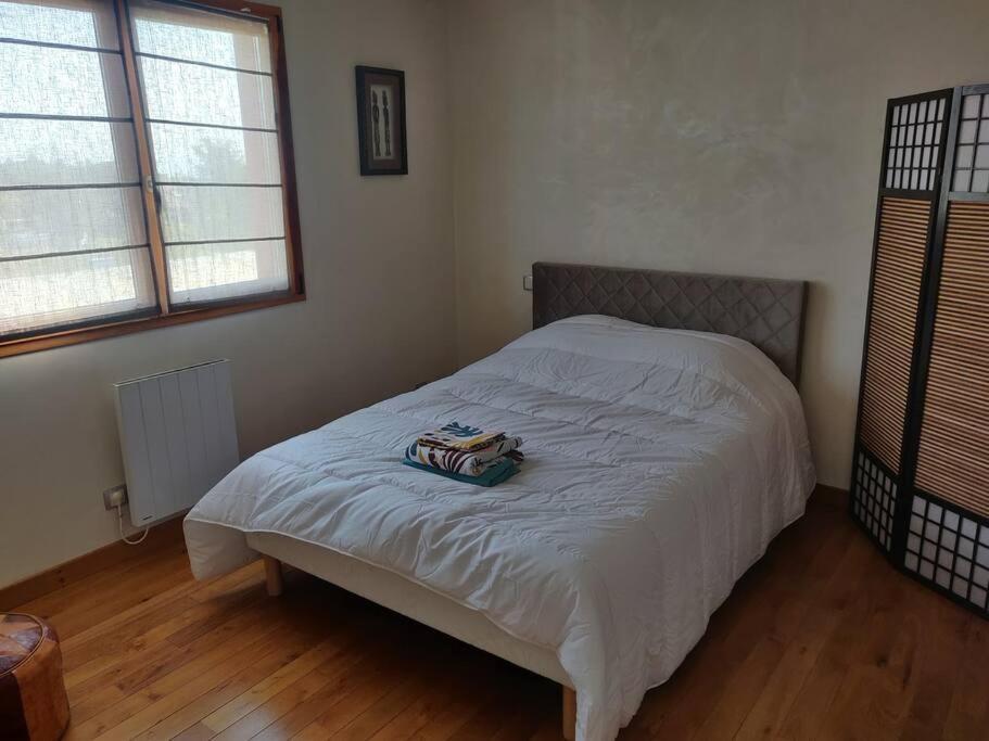 Maison Spacieuse Avec Billard Balneo Piano Talant Εξωτερικό φωτογραφία